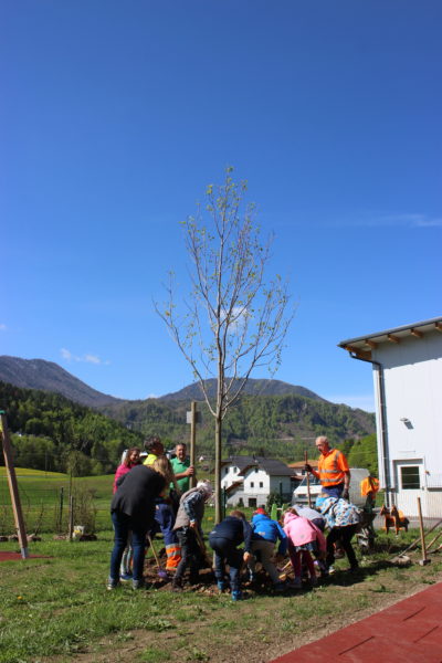 Baumpflanzung St. Margareten im Rosental